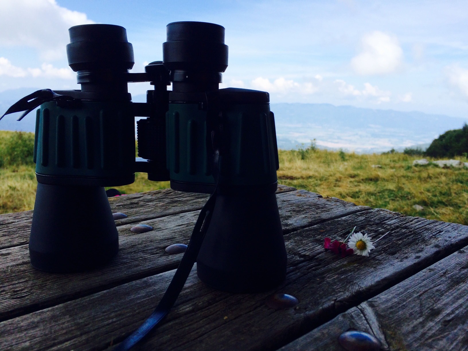 frutti-di-bosco-con-cavalli-e-binocolo