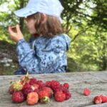 frutti-di-bosco-con-cavalli-e-binocolo