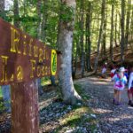 passeggiata-al-rifugio-la-fossa-con-le-mucche