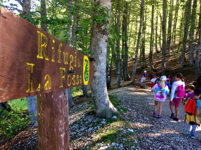 passeggiata-al-rifugio-la-fossa-con-le-mucche