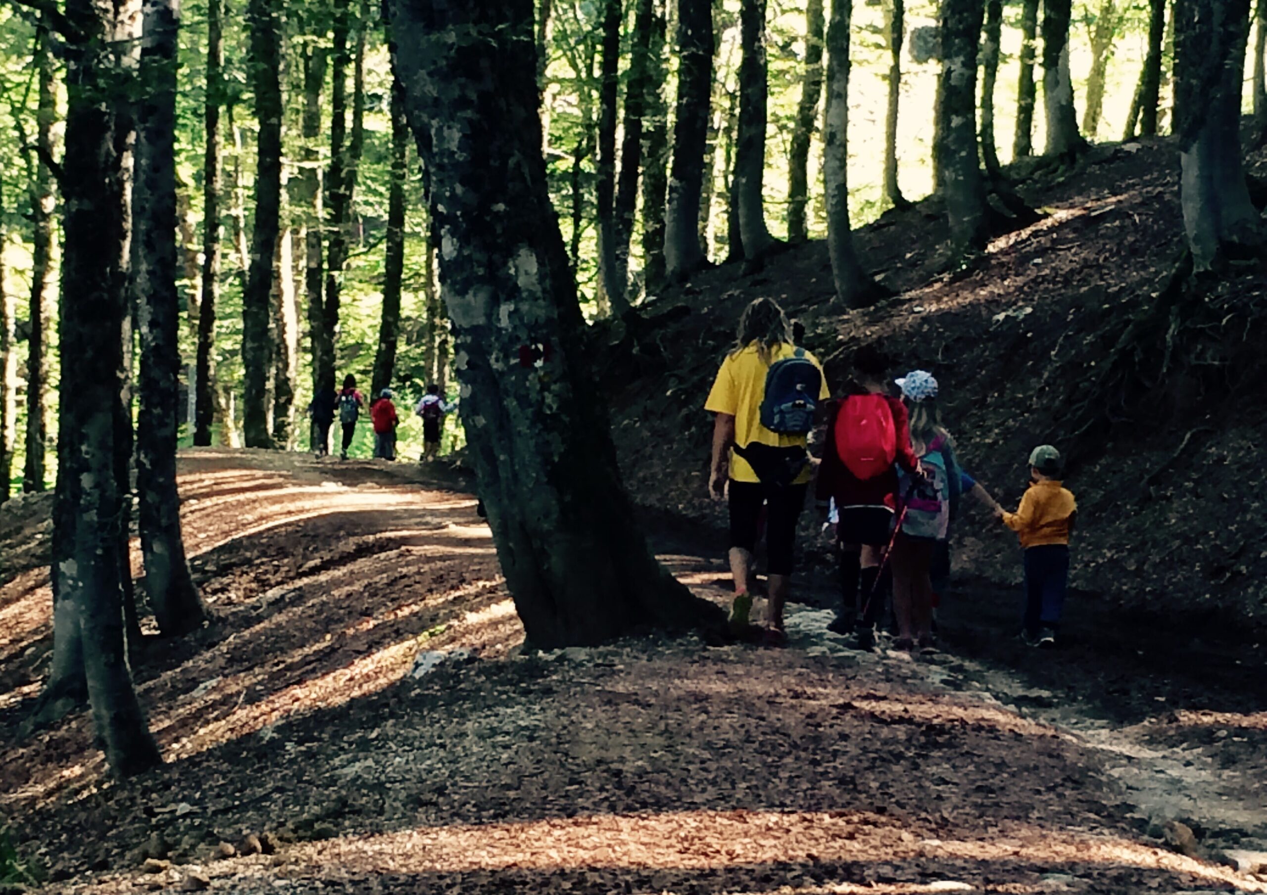 pulizia-della-montagna-con-i-bambini